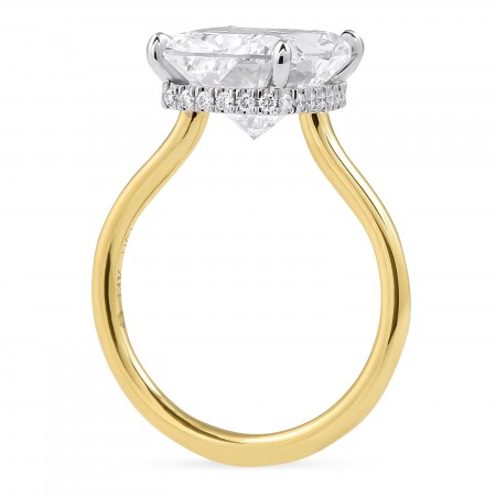 5.03 carat Cushion Cut Diamond Invisible Gallery™ Ring flat