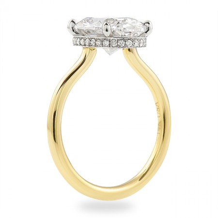 3.17 carat Oval Lab Diamond Invisible Gallery™ Ring top