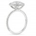 2.78 carat Round Lab Diamond Double Edge Halo Ring profile